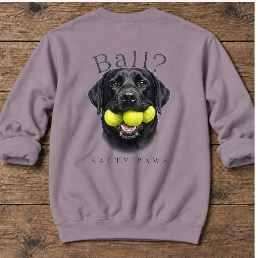 Ball? Black Lab Back Design Midweight Sweatshirt in Paragon, Salty Paws coastal sweatshirt
