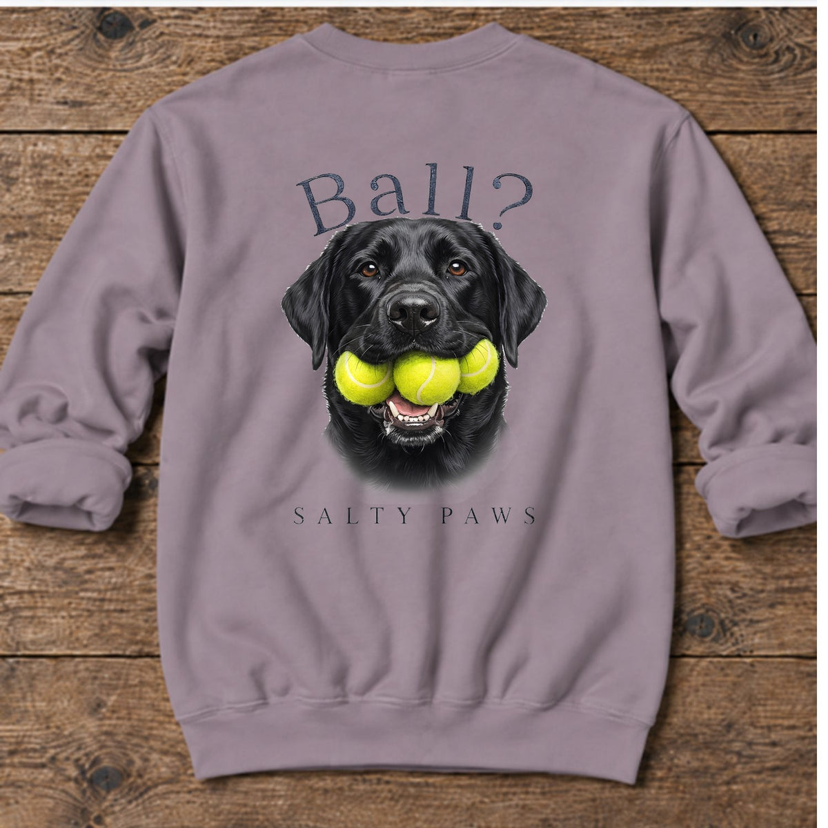 Ball? Black Lab Back Design Midweight Sweatshirt in Paragon, Salty Paws coastal sweatshirt