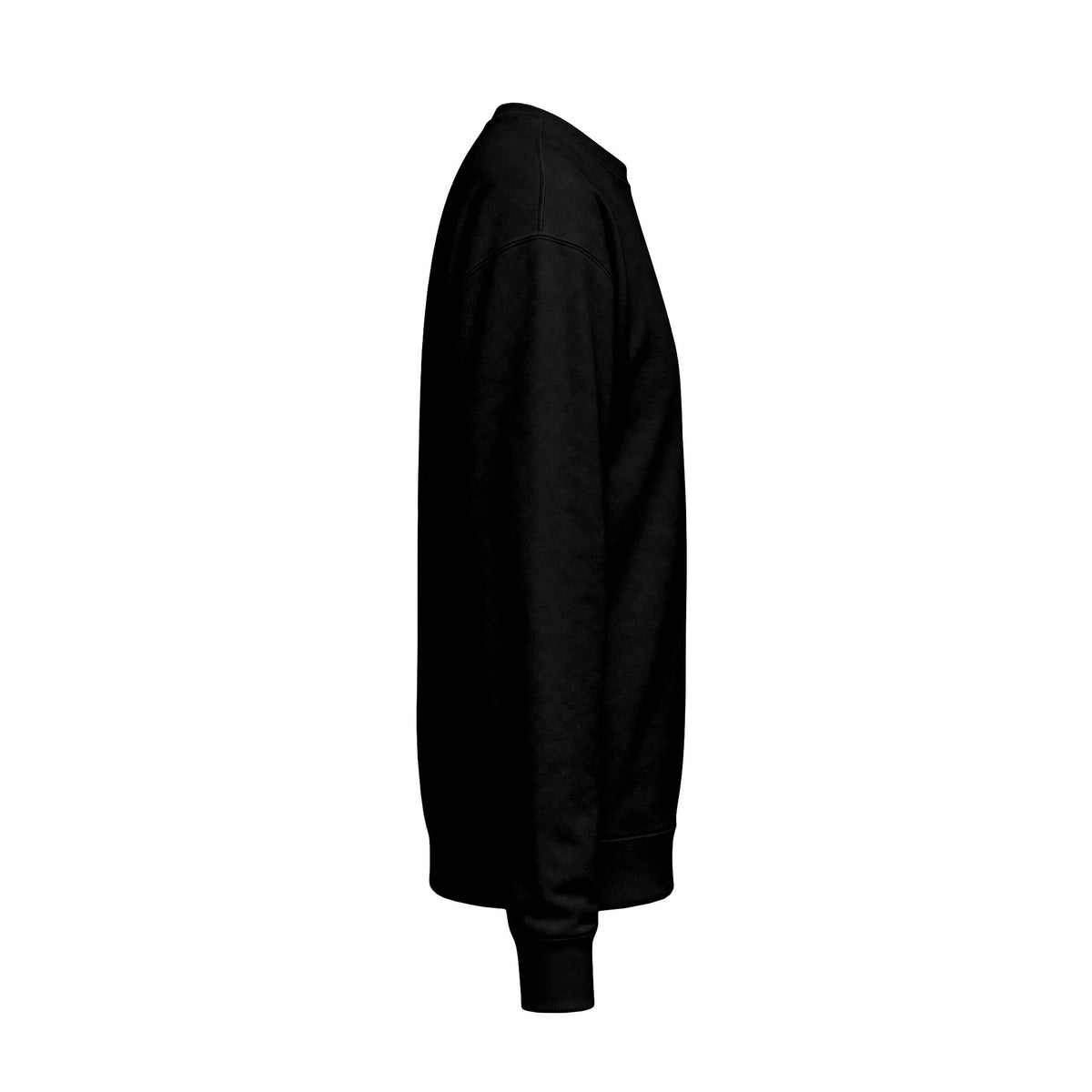 Highly Observant Eagle Back Design Midweight Sweatshirt