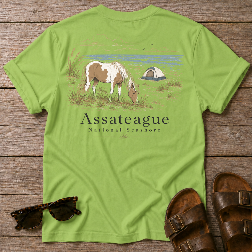Assateague National Seashore BACK DESIGN