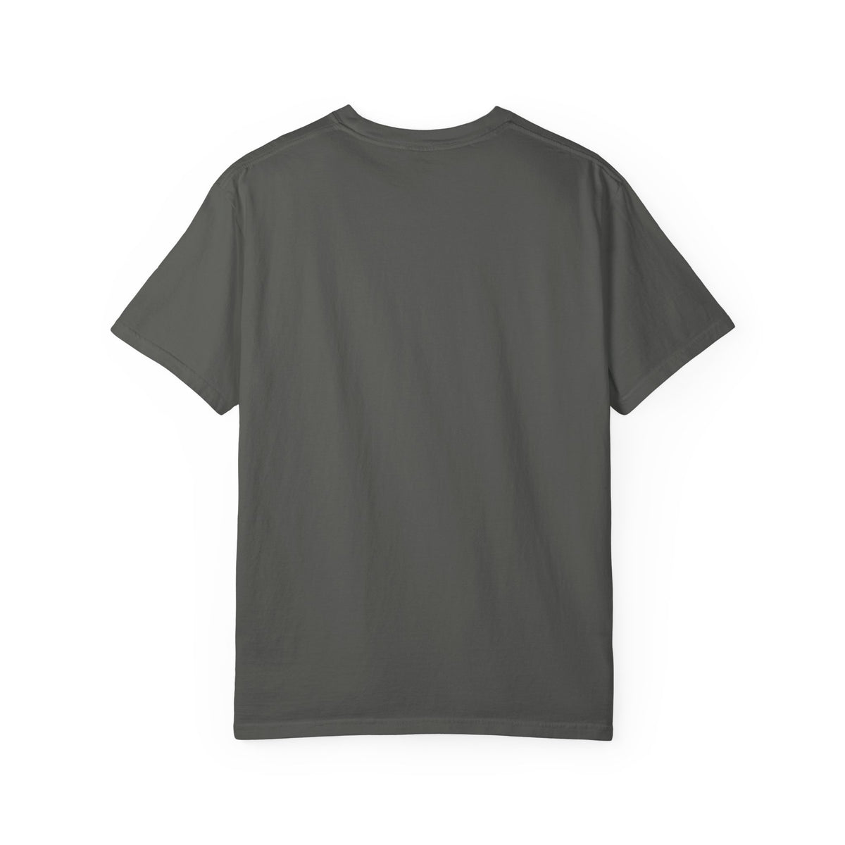 Highly Observant Eagle T-Shirt Comfort Colors