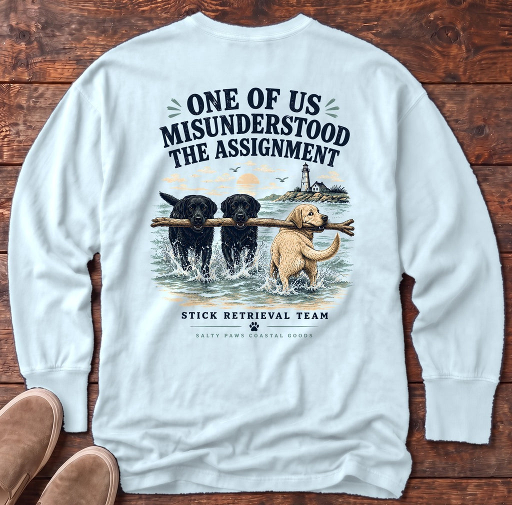 Misunderstood Assignment Labs Fetch Back Design Long Sleeve Tee in Chambray, Salty Paws Comfort Colors long sleeve tee