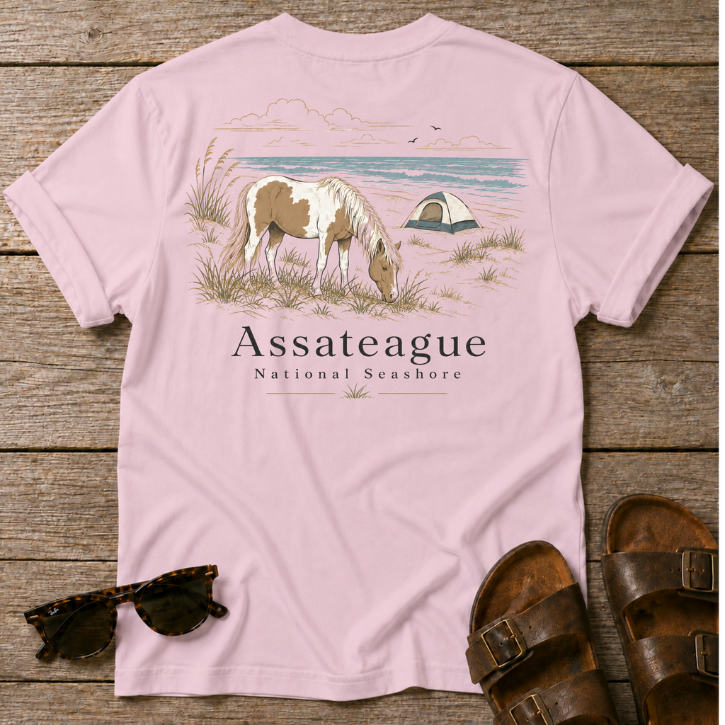 Assateague National Seashore BACK DESIGN
