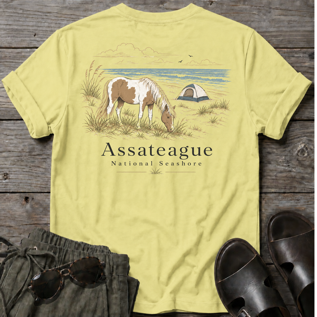 Assateague National Seashore BACK DESIGN