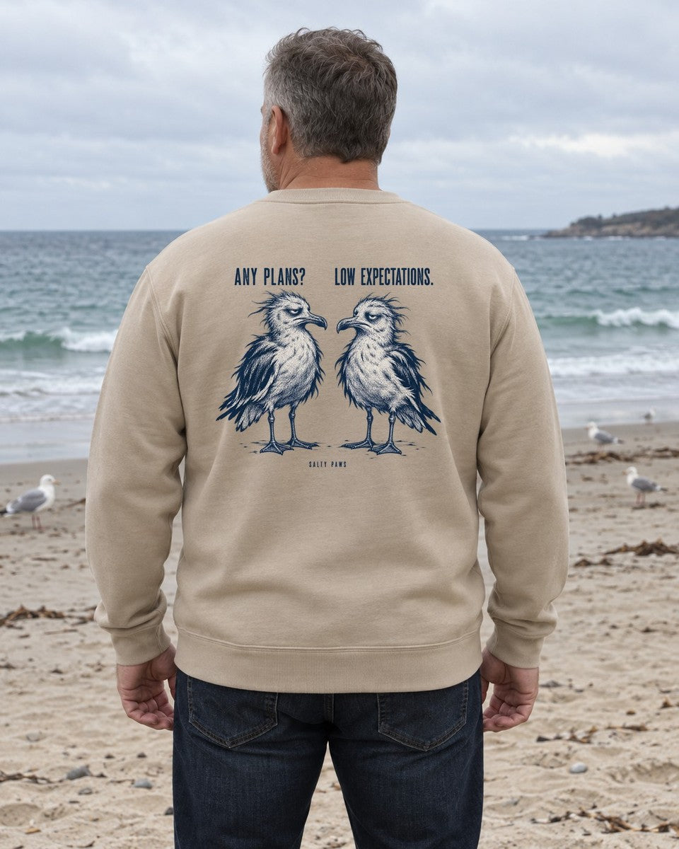 Any Plans Low Expectations Seagulls Back Design Midweight Sweatshirt in Sand, worn by a model on the beach, back design