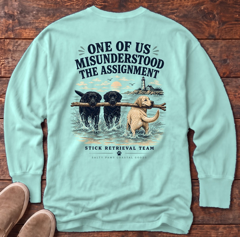 Misunderstood Assignment Labs Fetch Back Design Long Sleeve Tee in Chalky Mint, Salty Paws Comfort Colors long sleeve tee