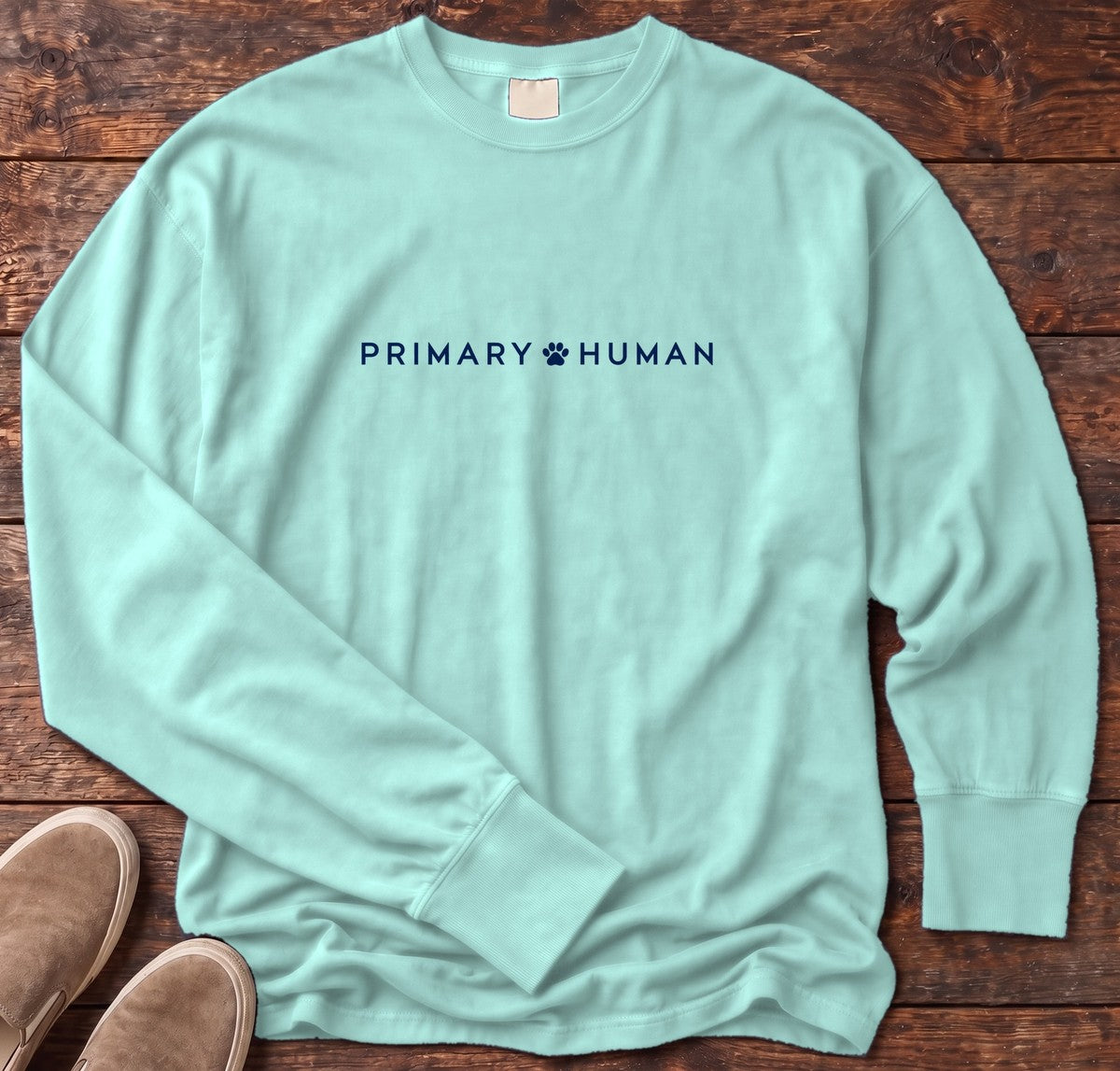 Primary Human Long Sleeve Tee in Chalky Mint, Salty Paws Comfort Colors Long Sleeve Tee, front design flat lay