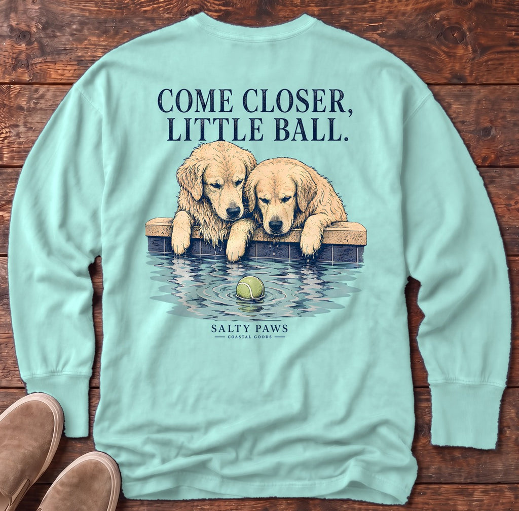 Closer Retrievers Back Design Long Sleeve Tee in Chalky Mint, Salty Paws Comfort Colors long sleeve tee