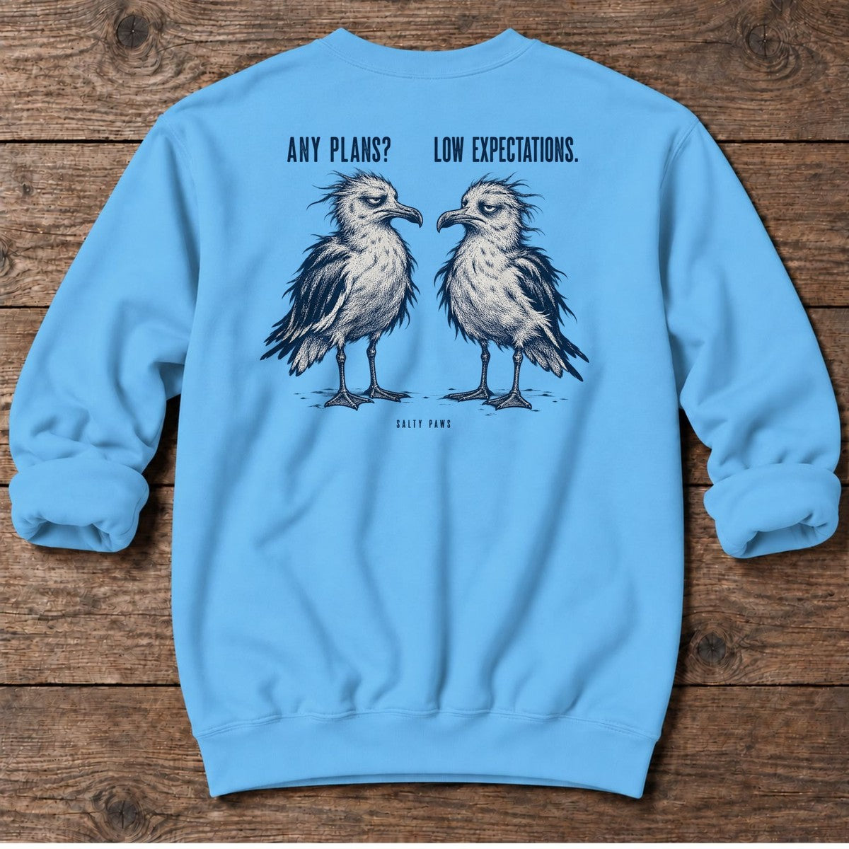 Any Plans Low Expectations Seagulls Back Design Midweight Sweatshirt in Sky, Salty Paws Midweight Sweatshirt, back design flat lay