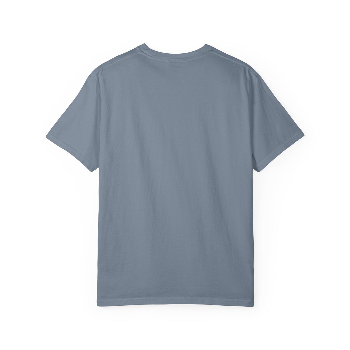 Highly Observant Eagle T-Shirt Comfort Colors