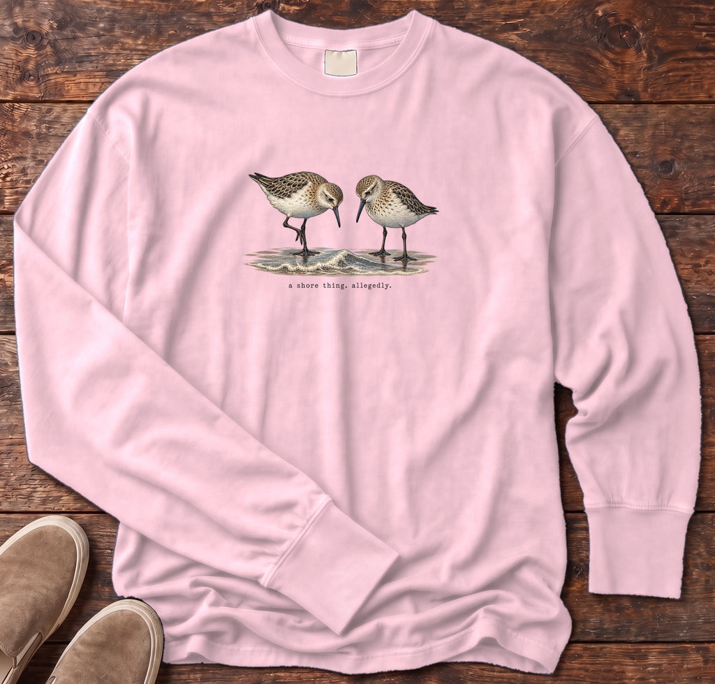 A Shore Thing, Allegedly Sandpipers Long Sleeve Tee Comfort Colors in Blossom, Salty Paws Comfort Colors Long Sleeve Tee, front design flat lay