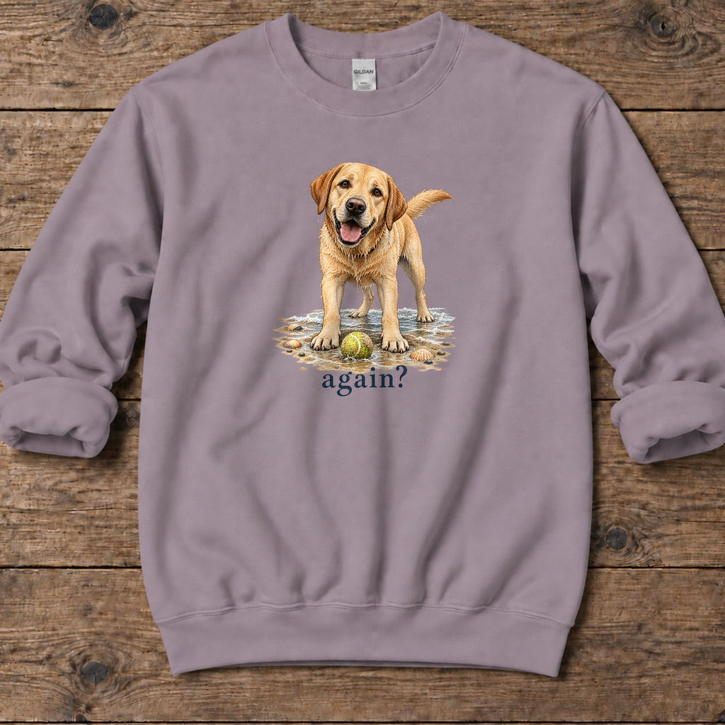 Again? Wet Yellow Labrador Midweight Sweatshirt in Paragon, Salty Paws Midweight Sweatshirt, front design flat lay