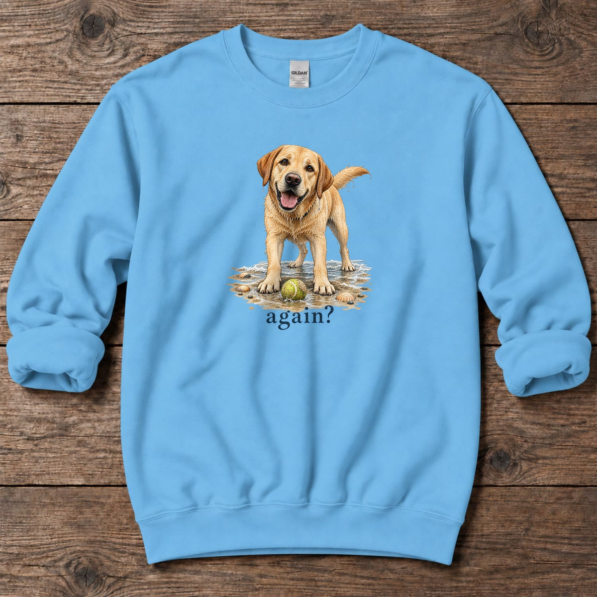 Again? Wet Yellow Labrador Midweight Sweatshirt in Sky, Salty Paws Midweight Sweatshirt, front design flat lay