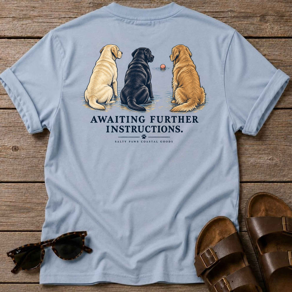 Awaiting Further Instructions Back Design T-Shirt in Light Blue