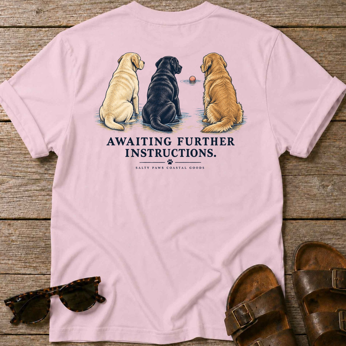 Awaiting Further Instructions Back Design T-Shirt in Light Pink