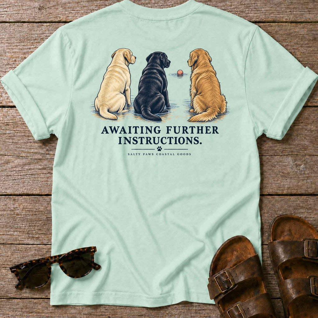 Awaiting Further Instructions Back Design T-Shirt in Mint Green