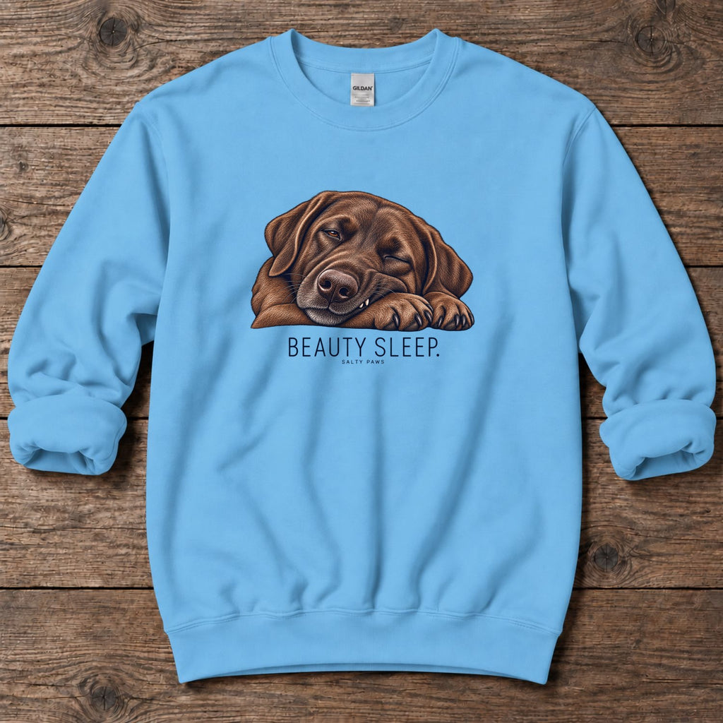 Beauty Sleep Chocolate Labrador Midweight Sweatshirt in Sky, Salty Paws Midweight Sweatshirt, front design flat lay
