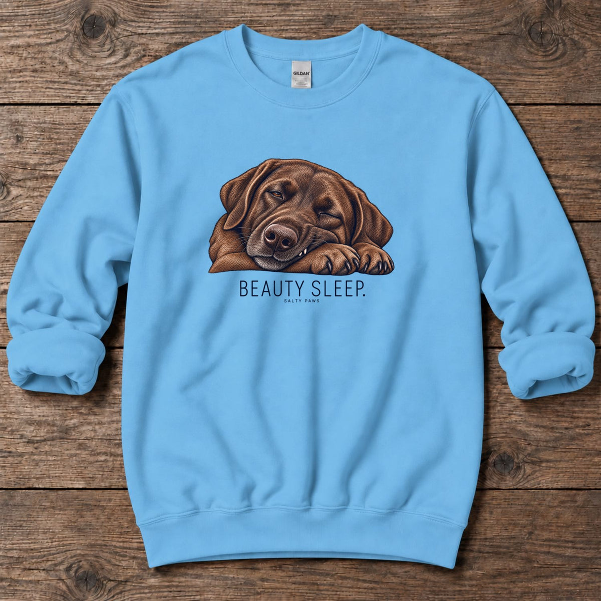 Beauty Sleep Chocolate Labrador Midweight Sweatshirt in Sky, Salty Paws Midweight Sweatshirt, front design flat lay
