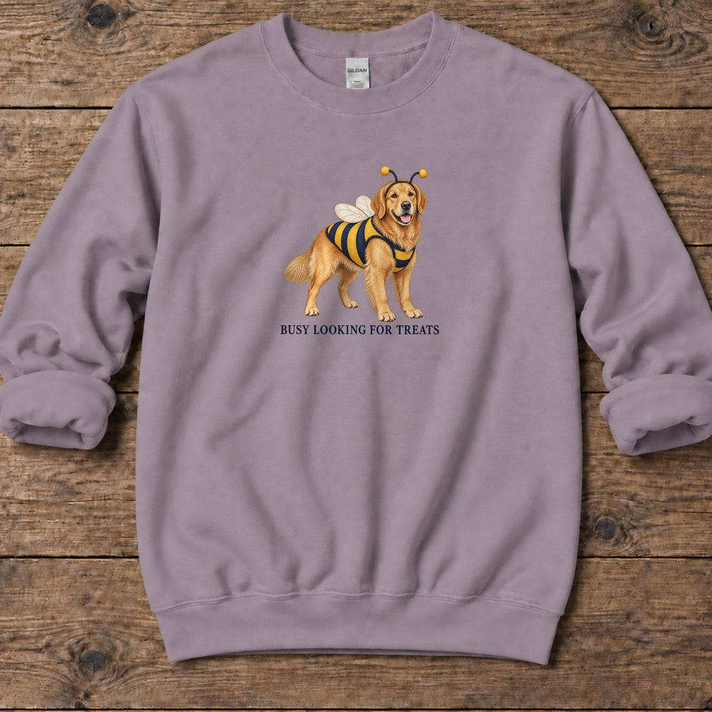 Busy Looking for Treats Golden Midweight Sweatshirt in Paragon, Salty Paws coastal sweatshirt