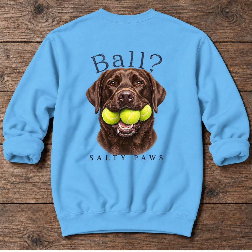 Ball? Chocolate Lab Back Design Midweight Sweatshirt in Sky, back design flat lay