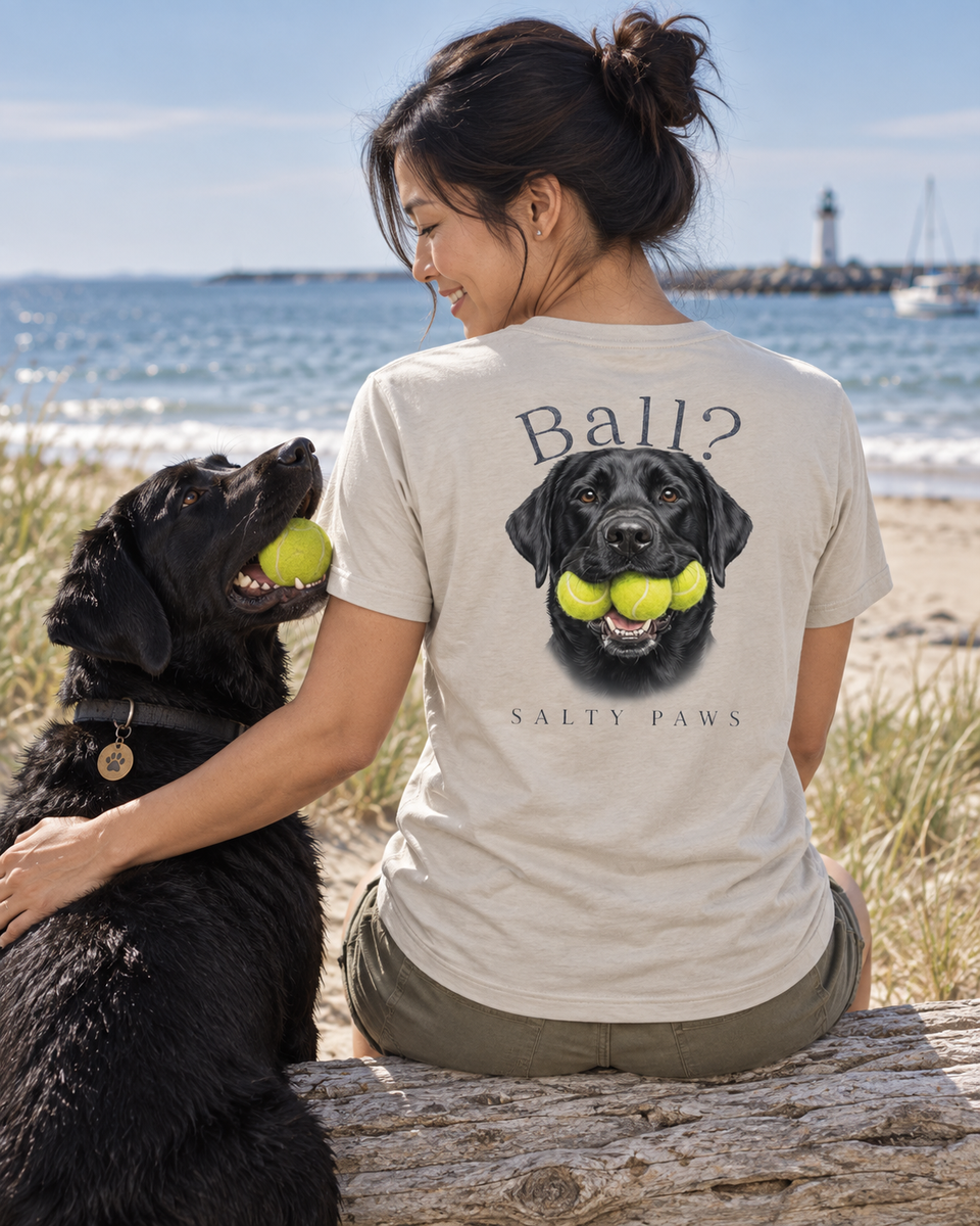 Ball? Black Lab back design tee in Sand, worn