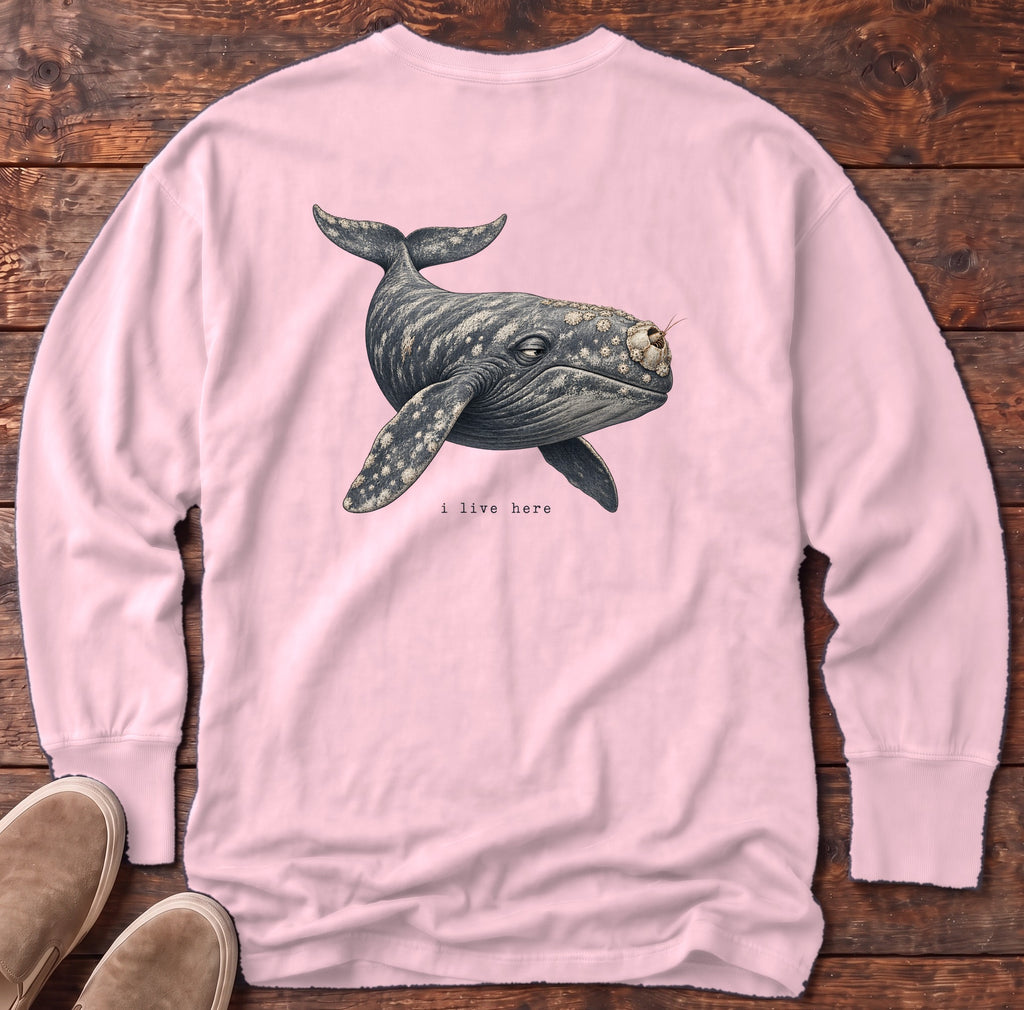 I Live Here Whale Back Design Long Sleeve Tee Comfort Colors in Blossom, Salty Paws Comfort Colors Long Sleeve Tee, back design flat lay