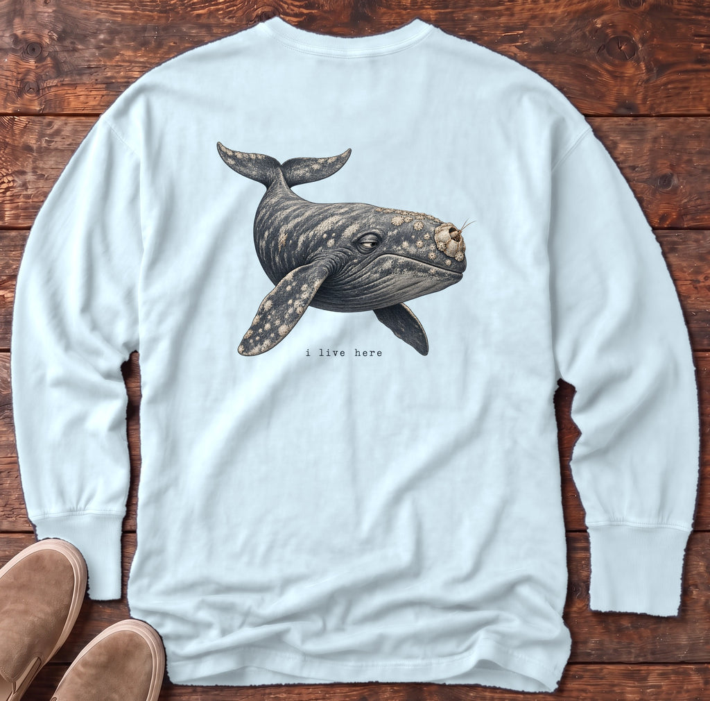 I Live Here Whale Back Design Long Sleeve Tee Comfort Colors in Chambray, Salty Paws Comfort Colors Long Sleeve Tee, back design flat lay