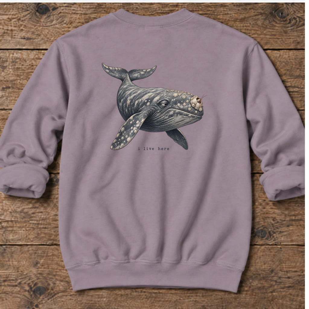 I Live Here Whale Back Design Midweight Sweatshirt in Paragon, Salty Paws Midweight Sweatshirt, back design flat lay