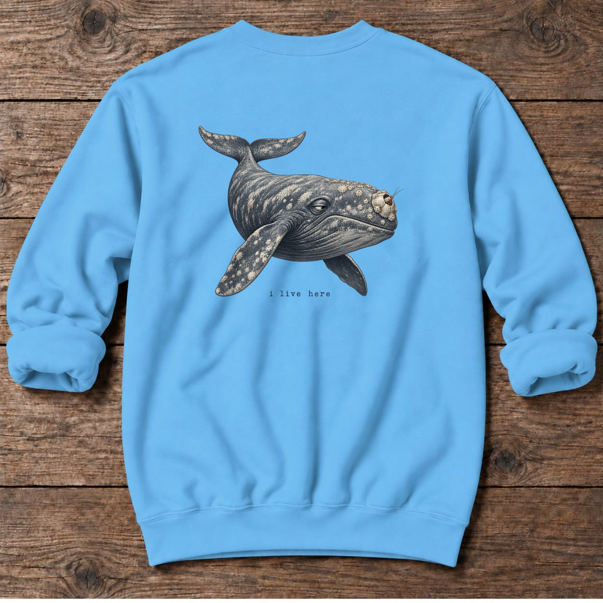 I Live Here Whale Back Design Midweight Sweatshirt in Sky, Salty Paws Midweight Sweatshirt, back design flat lay