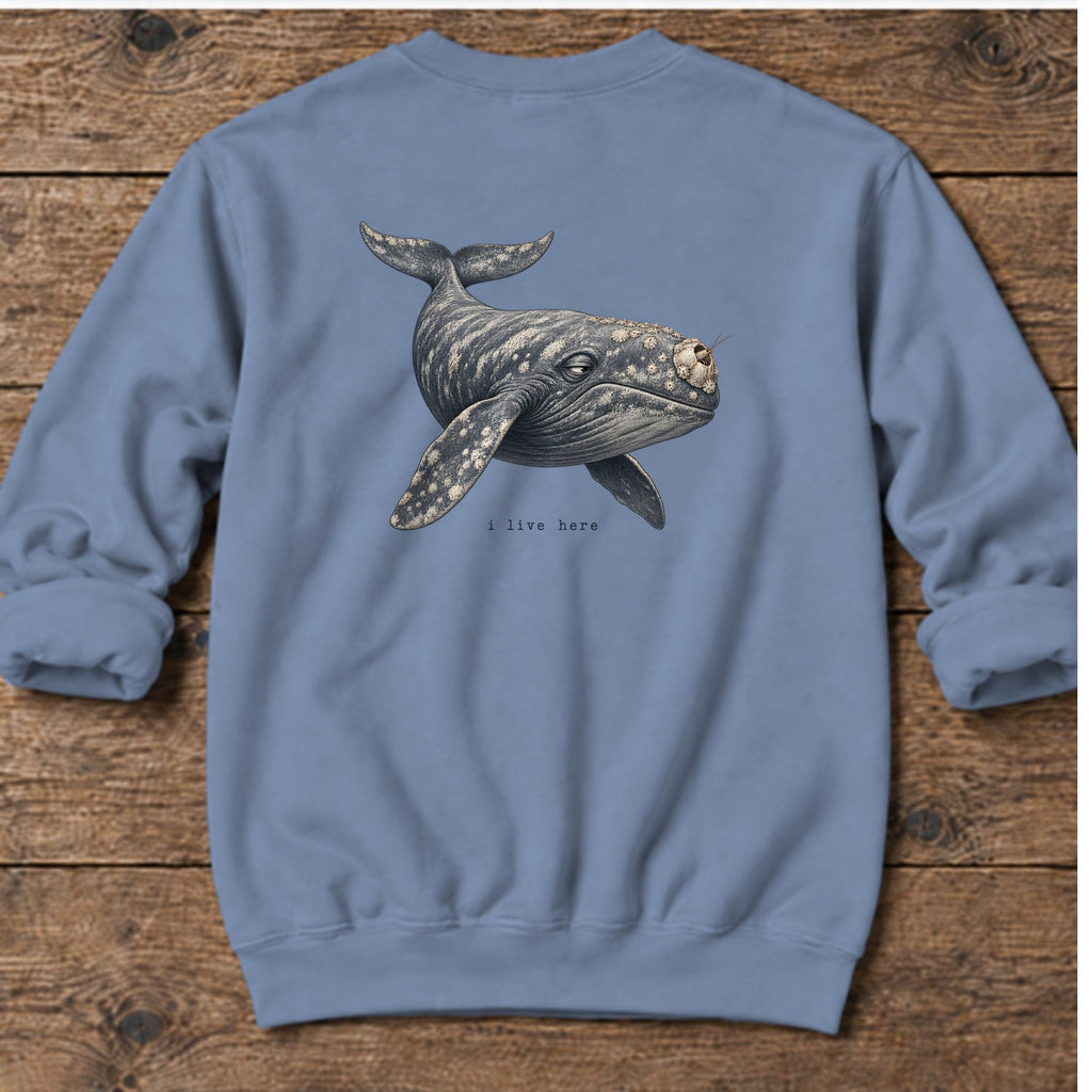 I Live Here Whale Back Design Midweight Sweatshirt in Stone Blue, Salty Paws Midweight Sweatshirt, back design flat lay