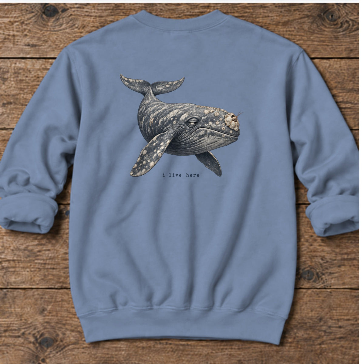 I Live Here Whale Back Design Midweight Sweatshirt in Stone Blue, Salty Paws Midweight Sweatshirt, back design flat lay