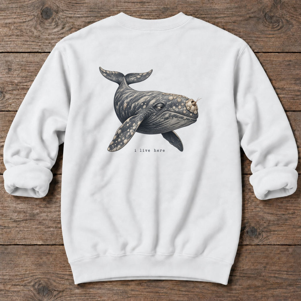 I Live Here Whale Back Design Midweight Sweatshirt in White, Salty Paws Midweight Sweatshirt, back design flat lay