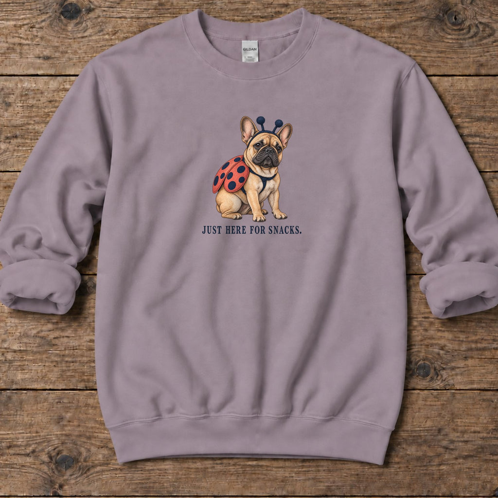 Just Here for Snacks Ladybug Frenchie Midweight Sweatshirt in Paragon, Salty Paws coastal sweatshirt