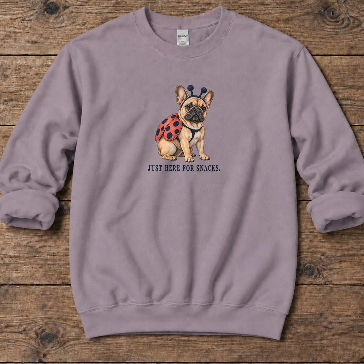Just Here for Snacks Ladybug Frenchie Midweight Sweatshirt in Paragon, Salty Paws coastal sweatshirt