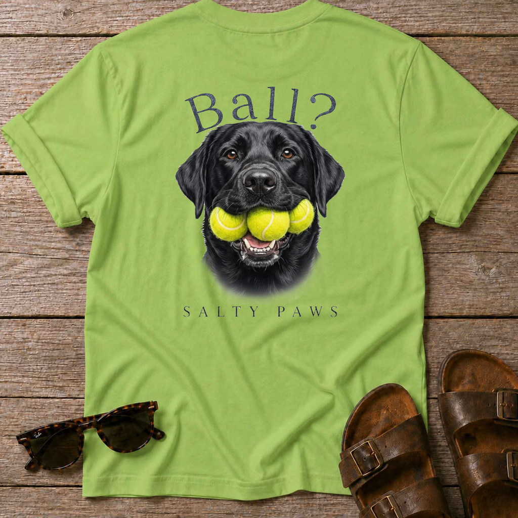 Ball? Black Lab T-Shirt