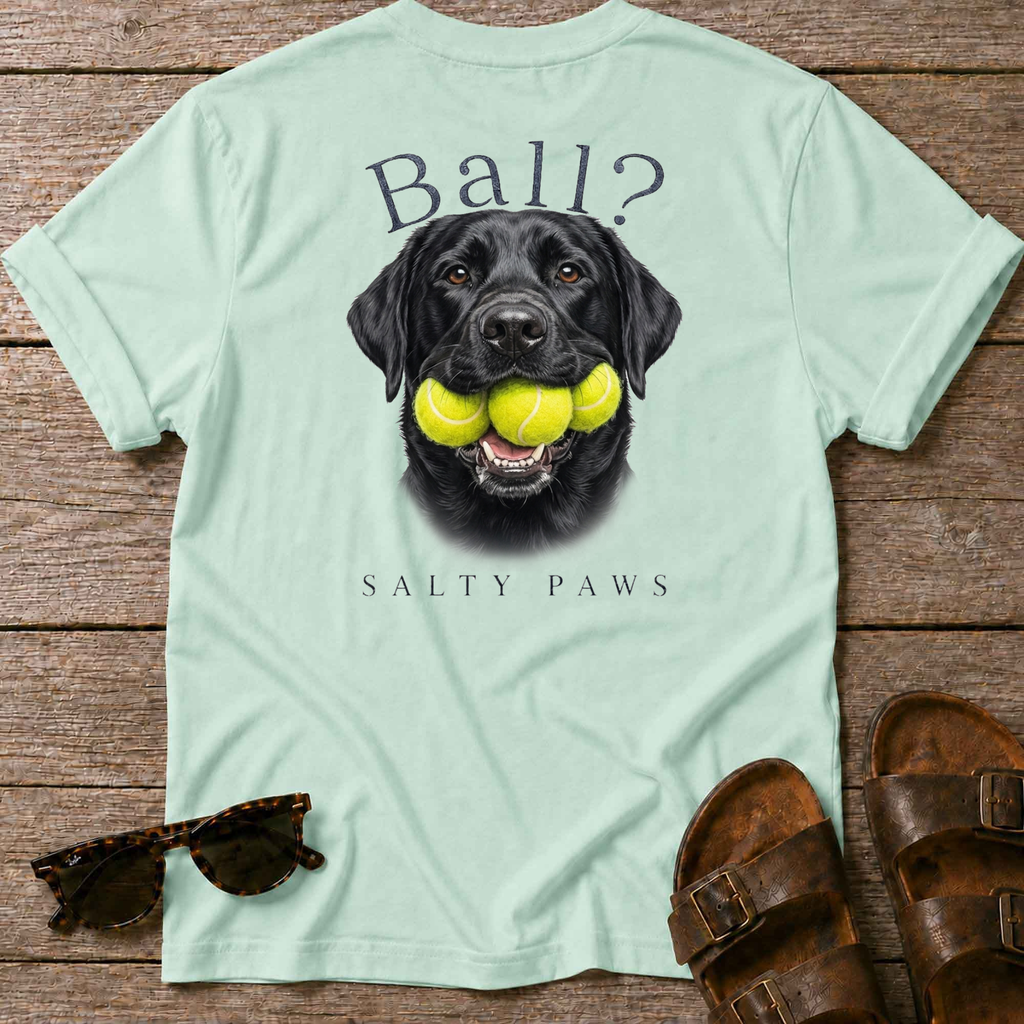 Ball? Black Lab T-Shirt