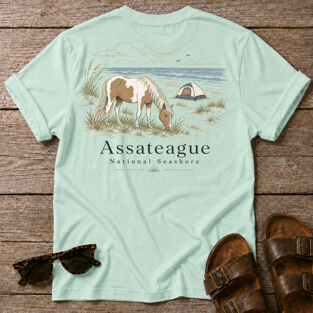Assateague National Seashore BACK DESIGN