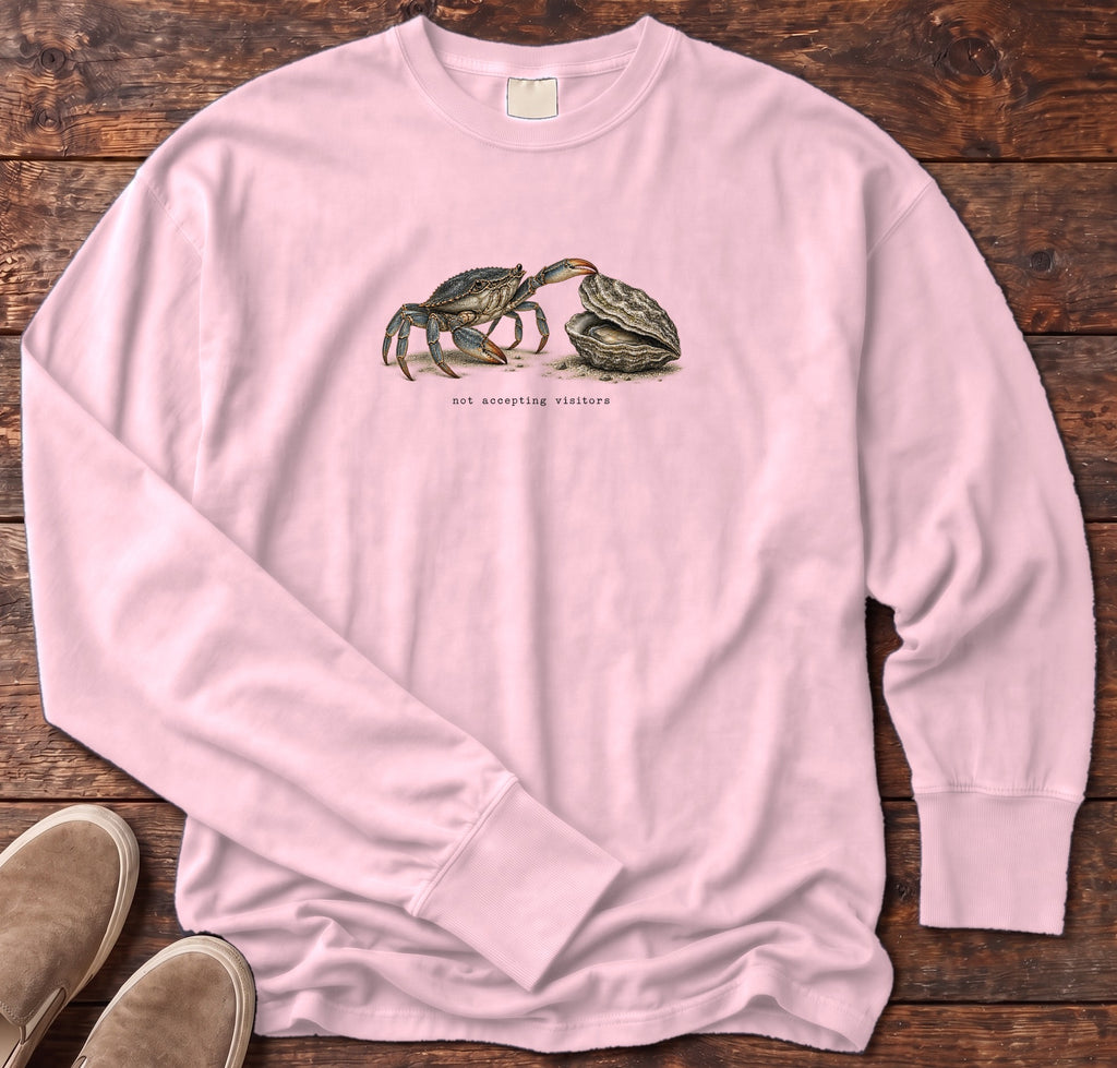 Not Accepting Visitors Oyster Long Sleeve Tee Comfort Colors in Blossom, Salty Paws Comfort Colors Long Sleeve Tee, front design flat lay