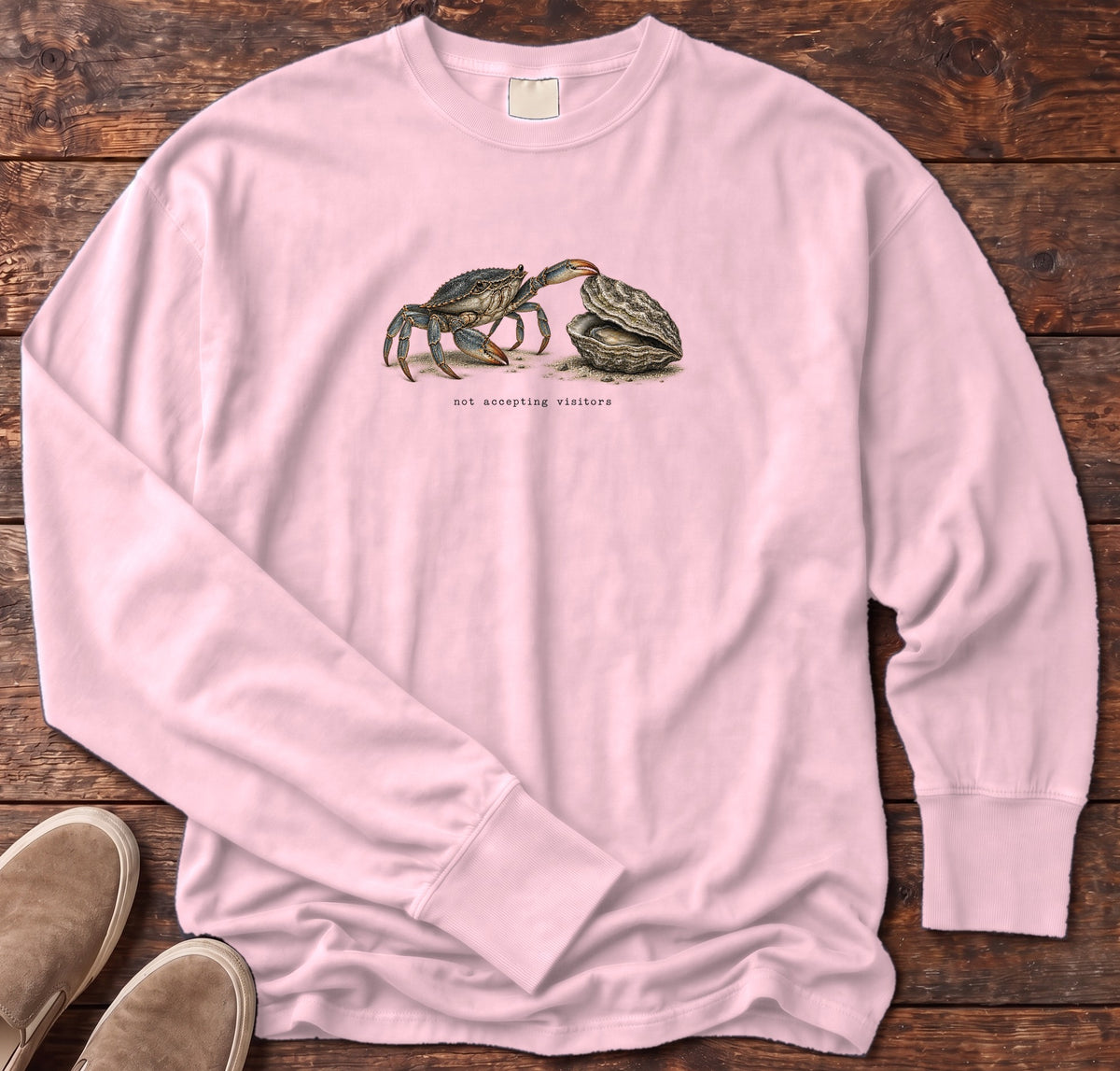 Not Accepting Visitors Oyster Long Sleeve Tee Comfort Colors in Blossom, Salty Paws Comfort Colors Long Sleeve Tee, front design flat lay