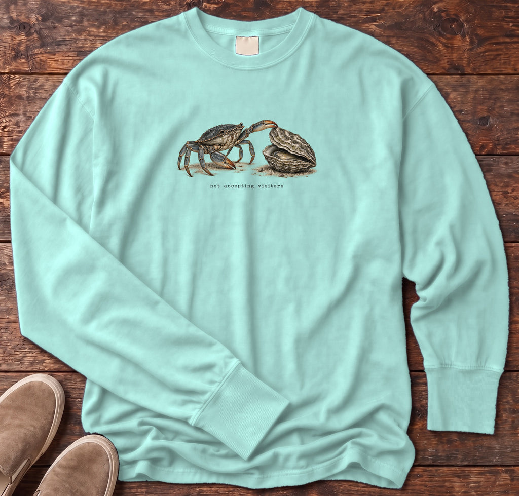 Not Accepting Visitors Oyster Long Sleeve Tee Comfort Colors in Chalky Mint, Salty Paws Comfort Colors Long Sleeve Tee, front design flat lay