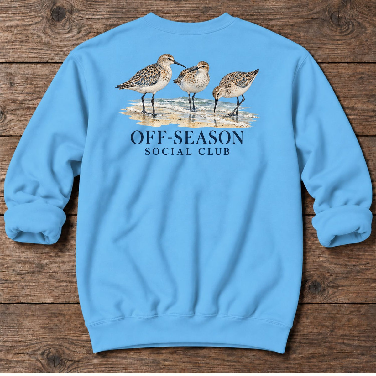 Off-Season Social Club Shorebirds Back Design Midweight Sweatshirt in Sky, Salty Paws coastal sweatshirt