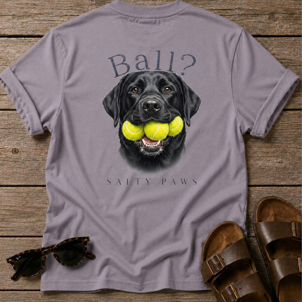 Ball? Black Lab T-Shirt