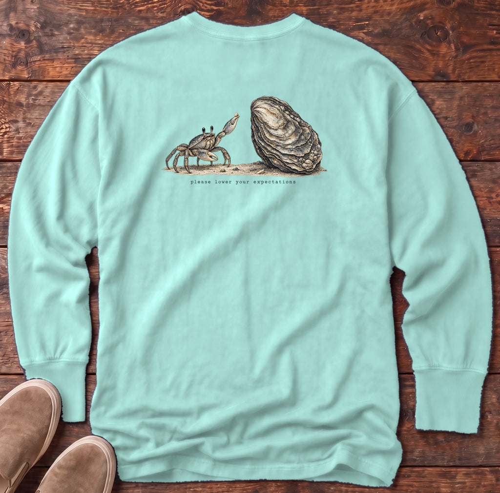 Please Lower Your Expectations Oyster Back Design Long Sleeve Tee Comfort Colors in Chalky Mint, Salty Paws Comfort Colors Long Sleeve Tee, back design flat lay