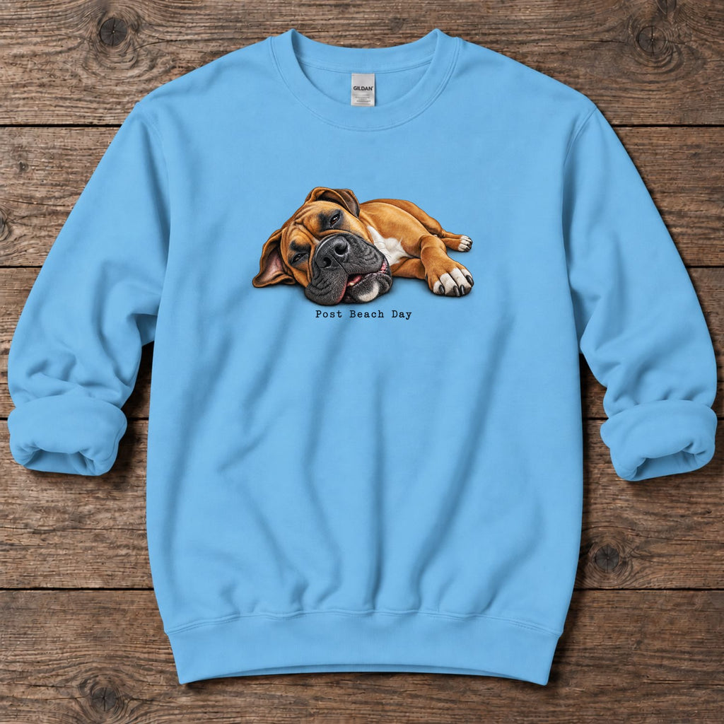 Post Beach Day Boxer Midweight Sweatshirt in Sky, Salty Paws Midweight Sweatshirt, front design flat lay