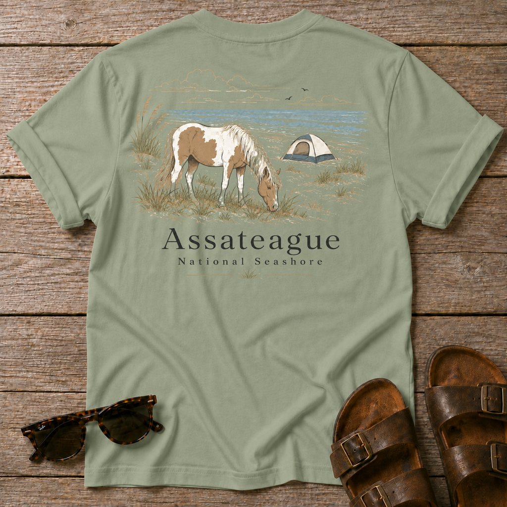 Assateague National Seashore BACK DESIGN
