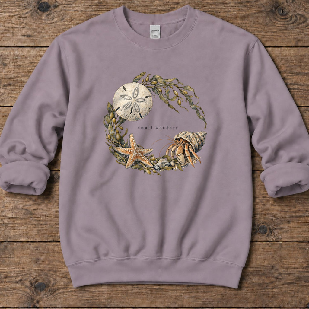 Small Wonders Sand Dollar Midweight Sweatshirt in Paragon, Salty Paws Midweight Sweatshirt, front design flat lay