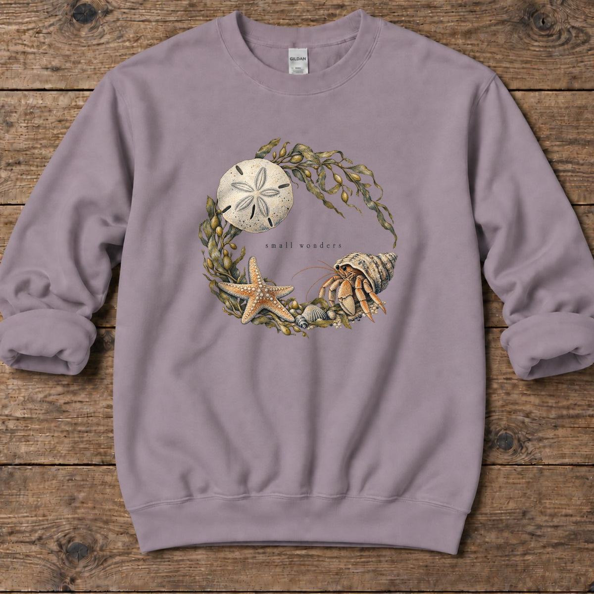 Small Wonders Sand Dollar Midweight Sweatshirt in Paragon, Salty Paws Midweight Sweatshirt, front design flat lay
