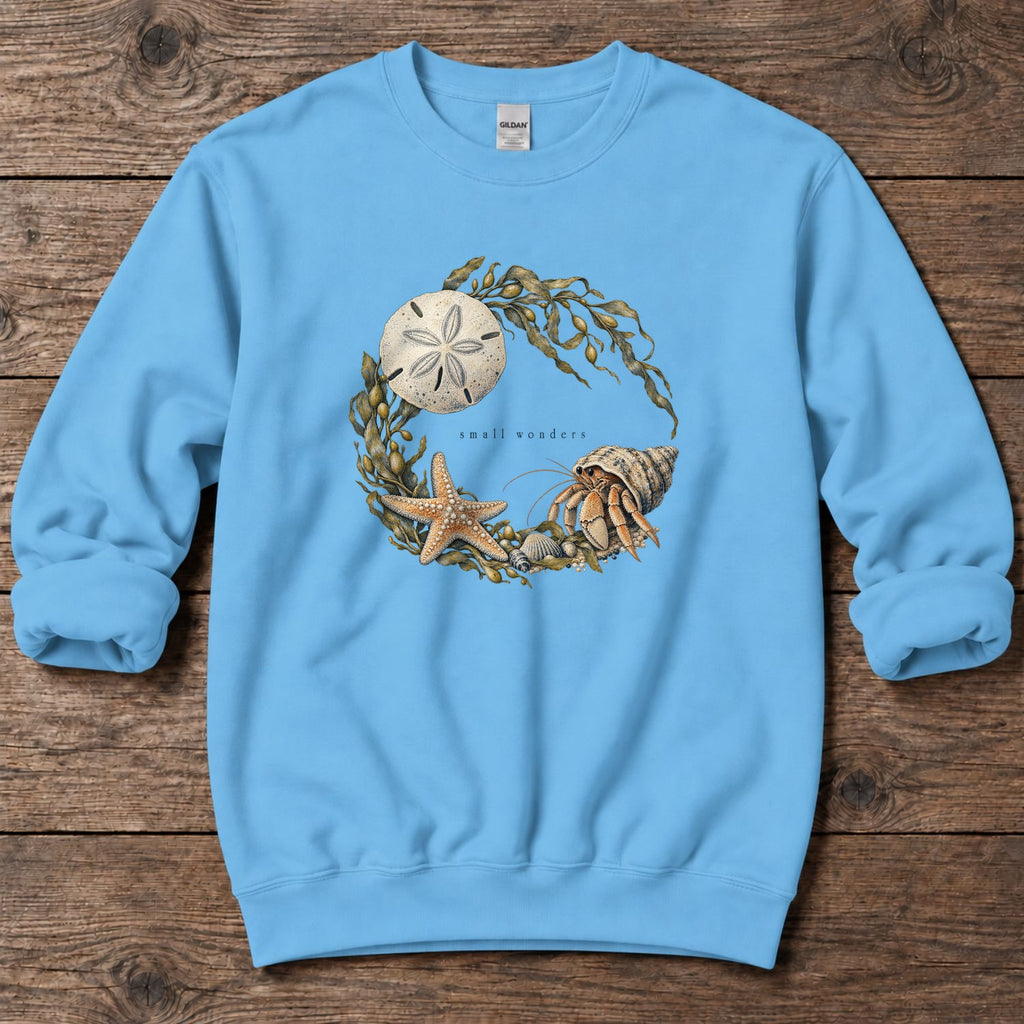Small Wonders Sand Dollar Midweight Sweatshirt in Sky, Salty Paws Midweight Sweatshirt, front design flat lay