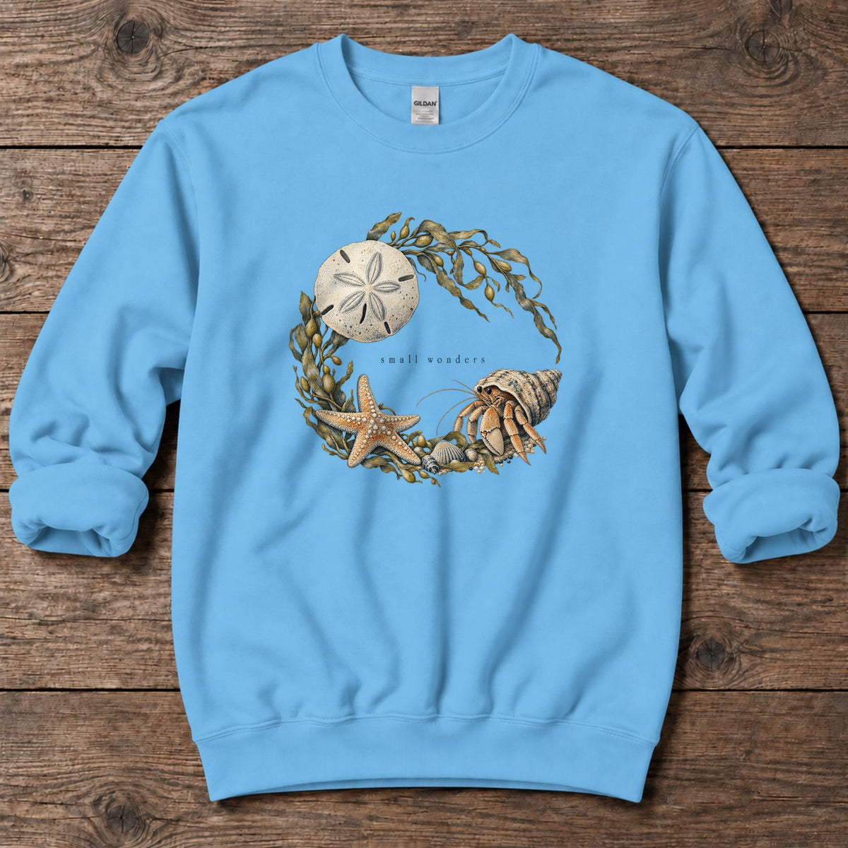 Small Wonders Sand Dollar Midweight Sweatshirt in Sky, Salty Paws Midweight Sweatshirt, front design flat lay