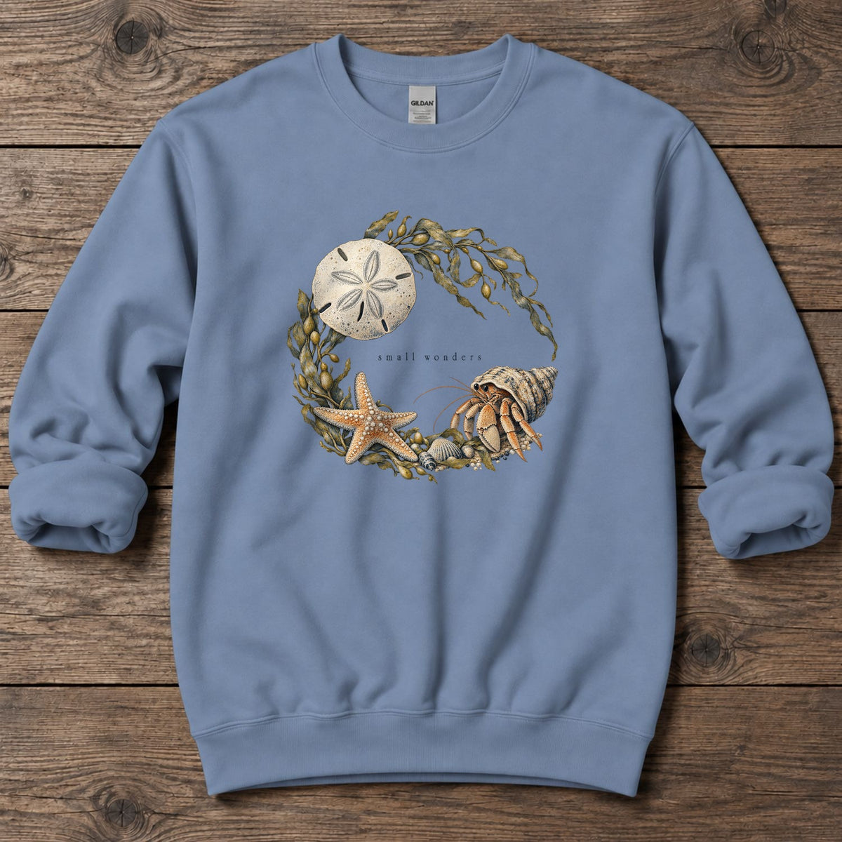 Small Wonders Sand Dollar Midweight Sweatshirt in Stone Blue, Salty Paws Midweight Sweatshirt, front design flat lay